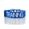 Dexil Training collar Large / X Large