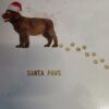 Christmas Santa Puppy Paws Cards 10pk